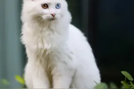小孩淘气，天经地义图片