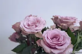 妻子不顾丈夫反对和男闺蜜去酒吧喝酒，回来后家没了，崩溃大哭图片