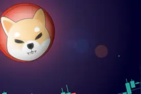 DeFi项目解读 | 暴涨的SHIB还能去掉几个零？图片