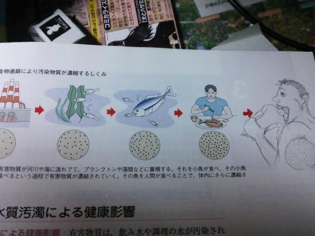 让老师"吐血三升"的课本涂鸦,奥特曼杜甫、卡卡西杜甫,杜甫太忙了