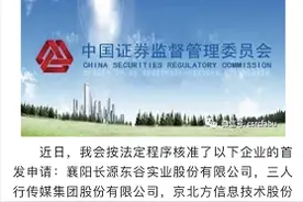 湖北再增一家上市公司！襄阳长源东谷首发申请获批图片