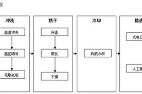 银芝麻｜你知道红枣的基本知识及产业链吗？图片