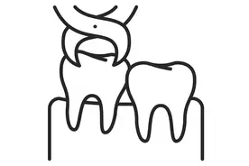 拔牙矫正后，老了会容易掉牙吗？图片