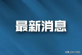 刚刚！鹦鹉洲长江大桥振动情况原因查明！图片
