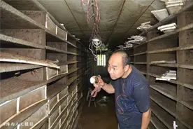 洛阳两口子贪图生活安逸，回农村养蜗牛，没咋上心年收入过十万图片