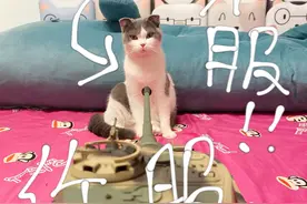 终于入手最新款的恒龙虎王坦克！！图片