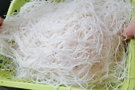 夏天，粉条不要酸辣粉了，教你炒米粉，不粘不坨，老人孩子都喜欢图片