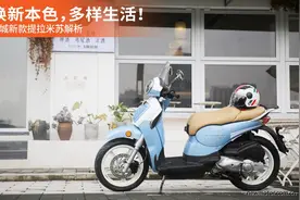 焕新本色，多样生活！金城新款提拉米苏解析图片