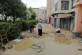说改咱就改！杨柳国际新城作出了榜样图片
