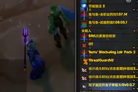 魔兽世界怀旧服黑科技：双子监控打虫子图片