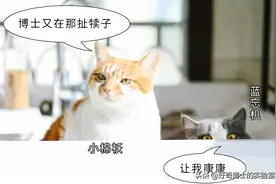 建议在女朋友的亲切指导下阅读本文图片