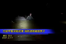 湖北孝感：为捉甲鱼深陷淤泥 消防速救被困男子图片