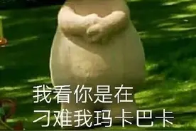 玛卡巴卡表情包合集图片