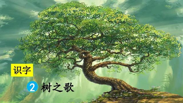 树之歌课文（二年级语文上册识字二树之歌课文笔记）