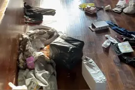 分手摔死你的猫，又不犯法就要气死你图片
