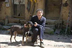 河南大叔一个人就是一个村，与三只流浪狗相伴，一锅玉米饭分着吃图片