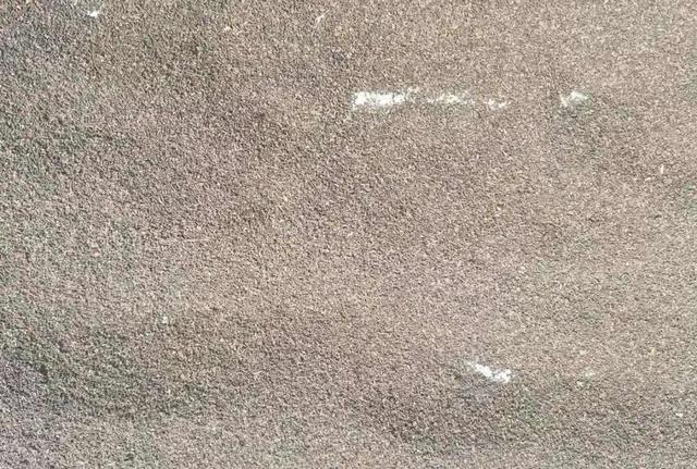 西望山下，“虫茶”完爆“猫屎咖啡”