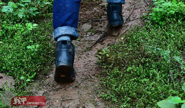 战术范板鞋——君洛克迷彩蜘蛛6.0体验分享