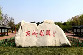 最美人间四月天京城梨园，五环边上的郊野公园图片