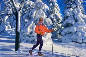 同是北欧国家的芬兰和瑞典有何不同？图片