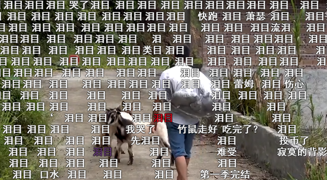 鸡皮疙瘩2在线观看带字