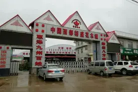 周至村落：中国西部苗木第一村裕盛村图片