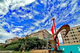 绵阳外国语学校2020年小学一年级计划招生400人图片