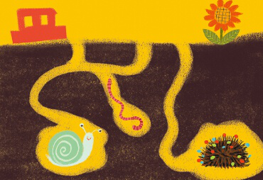 宝宝学画画教程：地下小动物