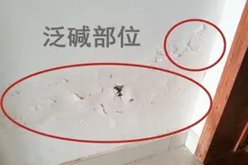 20年老漆工大胆揭秘：为什么都要给腻子加胶水！别说没告诉你图片