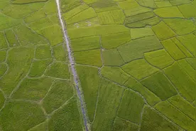 东北黑土地保护利用取得的主要成绩、面临挑战与对策建议图片