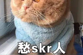 辟谣：关于猫咪的5大谣言，听上去有道理但也别全相信 ！图片