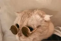 搞笑~搞笑图片