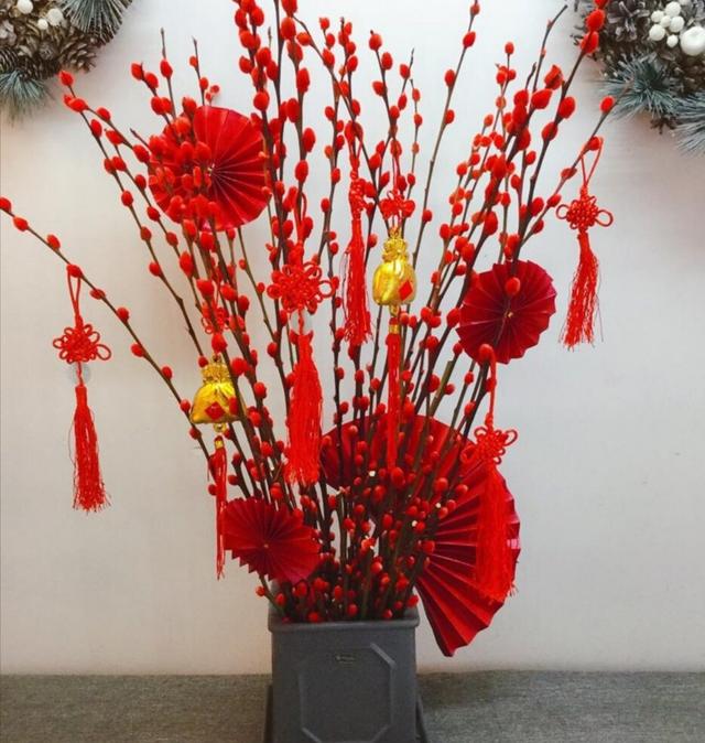 春节快要到了，家里养瓶银柳，开花200天，漂亮又喜庆