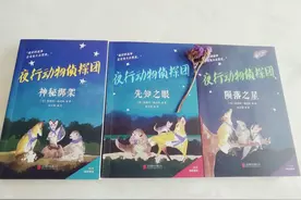 《夜行动物侦探团》：夜幕降临，侦探故事才刚刚开始图片