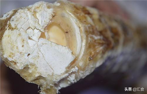 鲨鱼骨花胶煲猴头菇 鲨鱼骨花胶煲汤