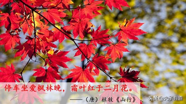 部编版一年级下册语文《春夏秋冬》知识点+图文讲解，给孩子预习