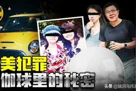 妻女离奇逝世，瑜伽球引出惊人的内幕，温柔教授竟然有两副面孔？图片