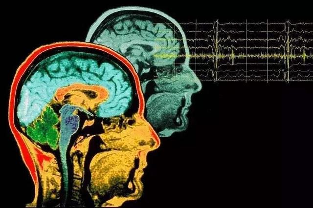 美科学家发现人类第6感,我们真有磁场感应,能像鸽子那样导航吗