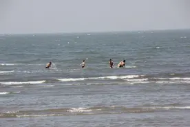 大连赶海必须去的地方----夏家河子图片