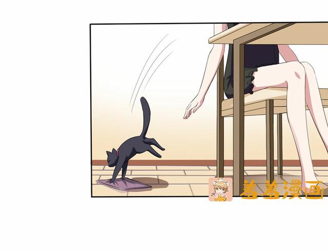 夜路走多了，竟捡到宝，带着巨钻的小黑猫一只