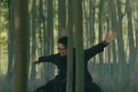 一叶访谈丨体存不证和无用之用图片