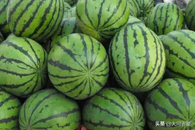中国第一批吃瓜群众可能出在大同图片
