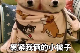 看完头皮发麻！上海海关查获406只活体蚂蚁！这也能当宠物养？图片