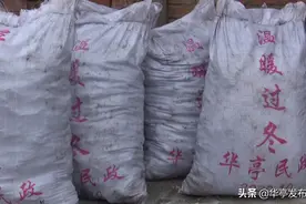 华亭： 情系五保户 寒冬送温暖图片