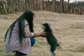 她是“华语流行教母”，却连续十年祭奠一只死去的狗是为何？图片