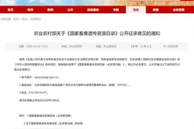 狗和竹鼠拟禁止食用！ 哪些陆生动物能吃，国家正在征求意见！图片