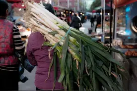 吃个青菜，南北方人也能打起来？图片