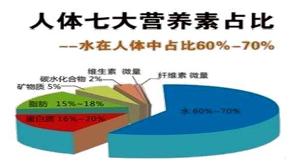 调节水、电解质、酸碱平衡药与营养药，氨基酸