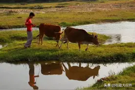 17岁少年挖到玉龙被30元征走，44年后再见面已是10亿国宝图片