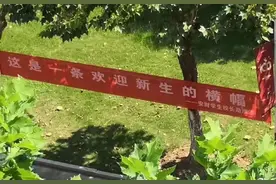 安徽财经大学迎新标语“火”了，网友们笑着调侃，语文老师哭了图片